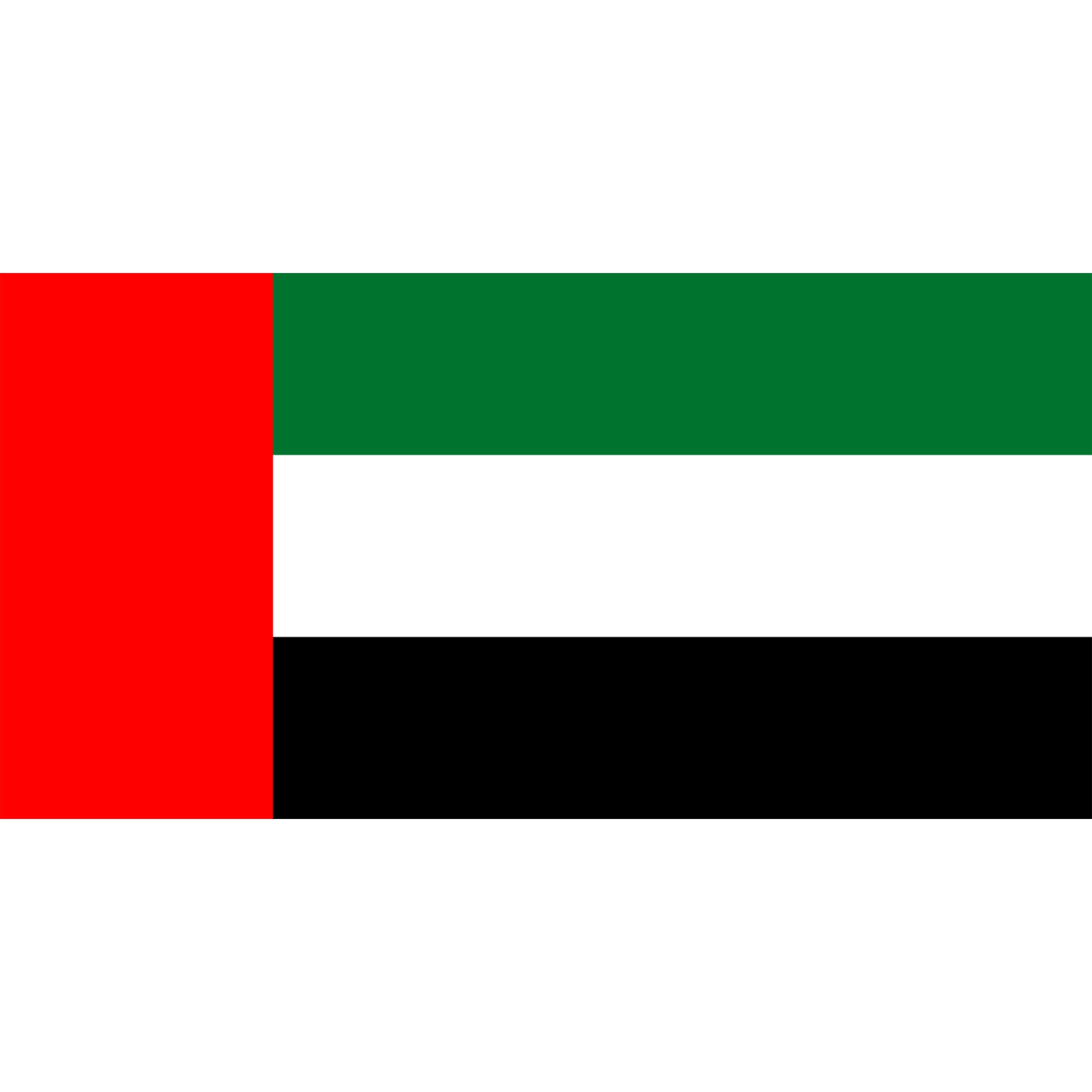 Custom Flag Patch